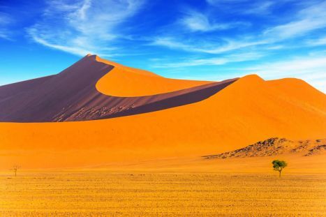 Die Dünen der Namib sind weltberühmt & ihr Anblick ist schier überwältigend!