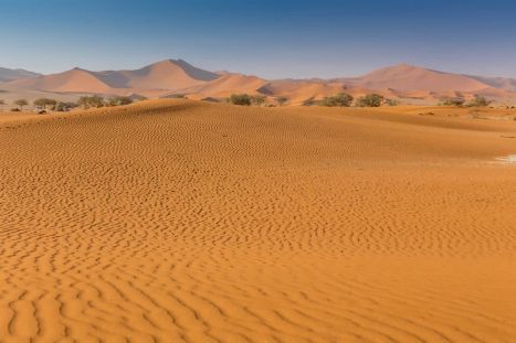 Die Wüste strahlt Ruhe & Magie aus und zieht jeden Besucher unweigerlich in ihren Bann!