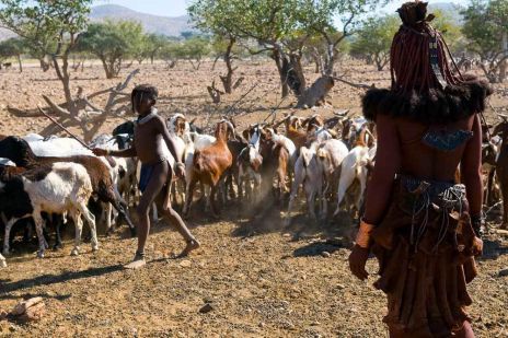 Das Kaokoveld - Heimat der Himba, denen Sie unterwegs immer einmal begegnen können.