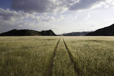 Ihre Fahrt gen Norden führt Sie durch weite menschenleere Gebiete von schroffer Schönheit.