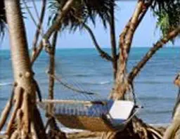 Und auch hier werden Sonne, Sand und
Entspannung ganz groß geschrieben:
in der Hängematte döst es sich herrlich!
Urlaub, wie er schöner nicht sein kann... tansania-sansibar-fumba-resort-haengematte