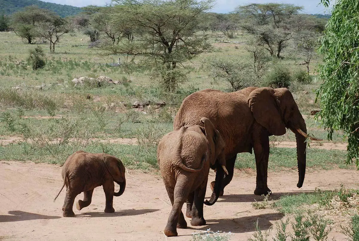 Kenya