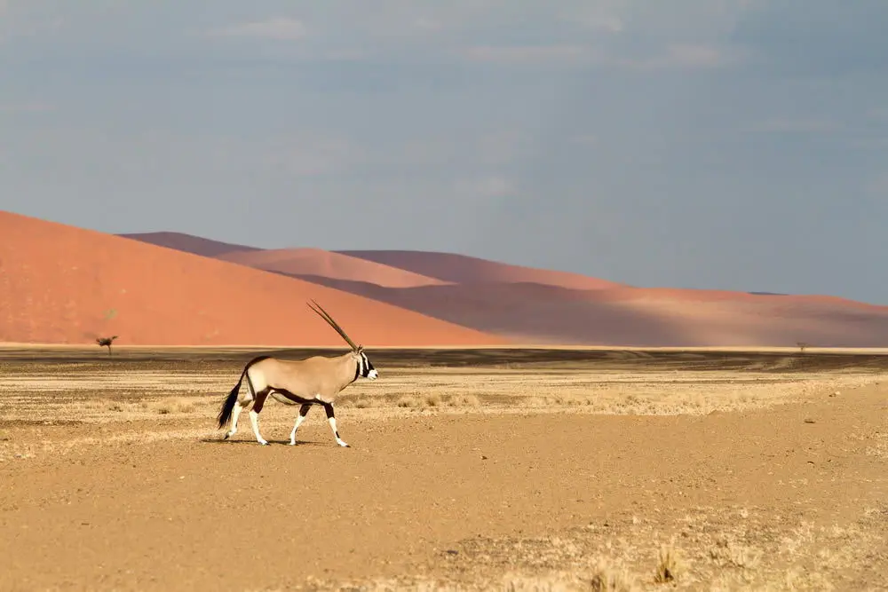Namibia