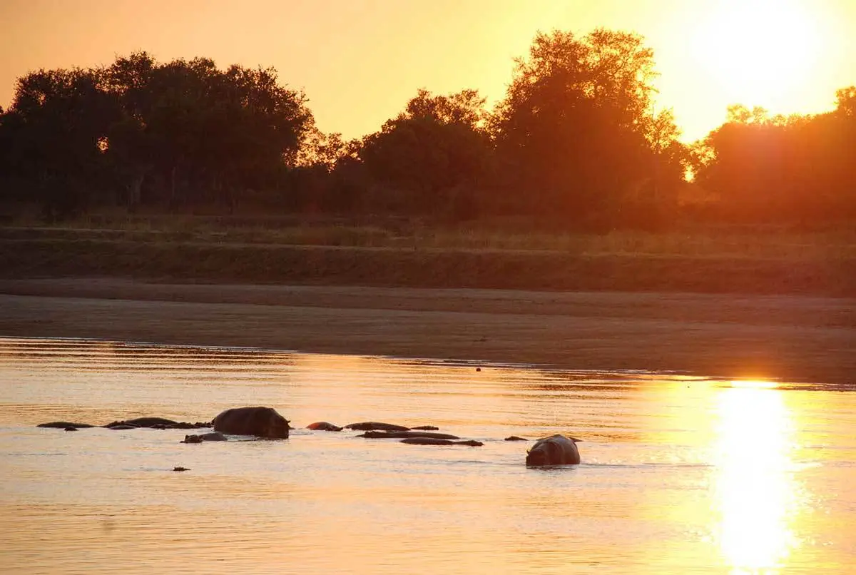 Zambia