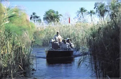 Das Okavango Delta - weltweit einziges Inlanddelta eines Flusses. Dieses Geflecht aus Inseln und Wasserarmen, Lagunen und Seen ist unvergleichlich.