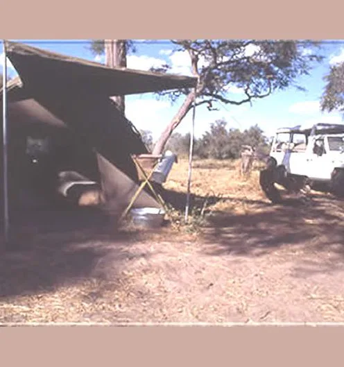 Mit geländegängigen Fahrzeugen, die speziell auf Safarizwecke ausgestattet sind, erkunden Sie die Wildnis.