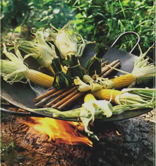 Nach einem erlebnisreichen Tag steht die schwere Pfanne auf dem knisternden Feuer und köstliche Düfte erfüllen die nächtliche klare Buschluft...