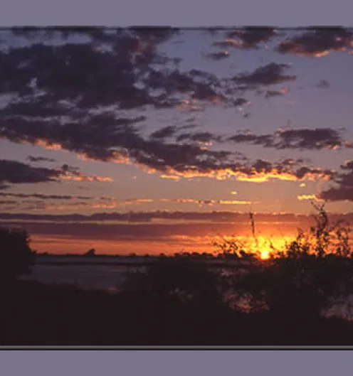 Ihre Safari ist zu Ende - aber Sie kehren mit bleibenden Erinnerungen heim - dem Geschmack des Staubs auf Ihrer Zunge,
dem Ruf des Fischadlers in Ihrem Ohr, der
Wärme der Sonne auf Ihrer Haut, dem
Geruch des Feuers in Ihrer Nase, dem
Funkeln der Sterne in Ihren Augen ...
und der Sehnsucht nach der wilden
Freiheit Botswanas in Ihrem Herzen...