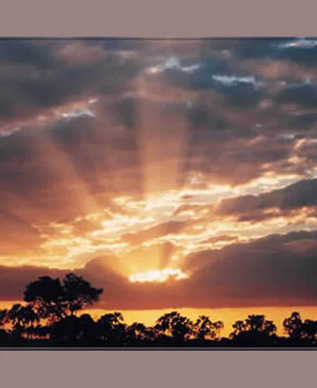 Ein letzter Sonnenuntergang im Busch... Ihr werdet Afrika
vermissen! botswana-sonneuntergang