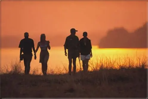 Dieses sind die unvergeßlichen Momente
eines Tages in Botswana. Wen wundert es da noch, daß so viele
Besucher dem Busch und seinem Zauber
erliegen...?