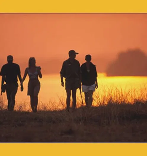 Dieses sind die unvergeßlichen Momente
eines Tages in Botswana. Wen wundert es da noch, daß so viele
Besucher dem Busch und seinem Zauber
erliegen...?