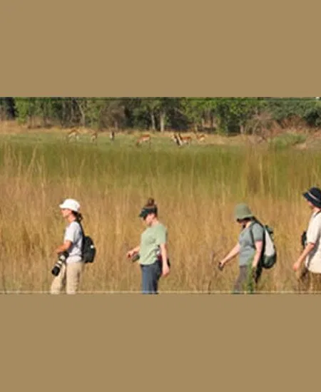 Während Ihres Aufenthaltes im Khwai
Gebiet ergeben sich Möglichkeiten für
Fußsafaris. botswana-walking-safari