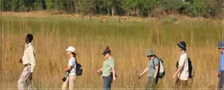 Während Ihres Aufenthaltes im Khwai
Gebiet ergeben sich Möglichkeiten für
Fußsafaris. botswana-walking-safari