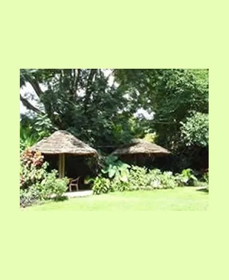 tansania-arusha-the-outpost-garten