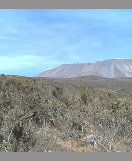 Je höher Sie kommen, desto spärlicher
wird die Vegetation.
Nach zunächst üppigem Baumbestand folgt
der immer niedriger werdende Buschbewuchs.
Und in der Ferne winkt der Gipfel... tansania-kilimandscharo-buesche