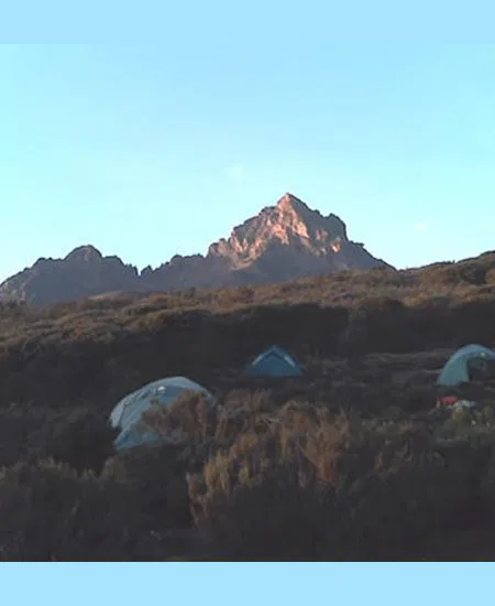 Eines Ihrer Lager auf dem Weg "nach oben".
Im Schatten der Gipfel rasten Sie zwischen
geduckter Vegetation. tansania-kilimandscharo-gipfel