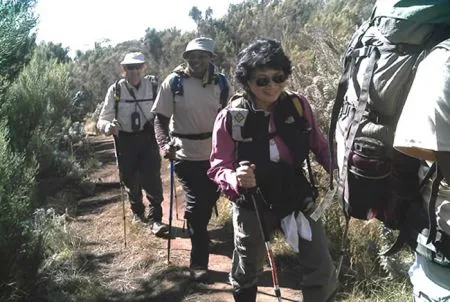 Und dann geht es los!
Ihre Kili-Besteigung hat begonnen.
Zunächst wandern Sie duch die noch üppig
bewaldeten Zonen. tansania-kilimandscharo-gruppe