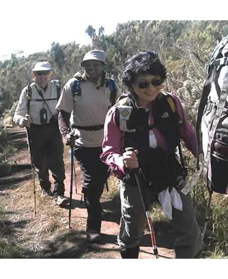 Und dann geht es los!
Ihre Kili-Besteigung hat begonnen.
Zunächst wandern Sie duch die noch üppig
bewaldeten Zonen. tansania-kilimandscharo-gruppe