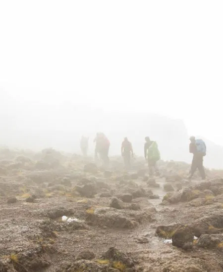 Der "Kili" ist weit über 5.000 m hoch!
Wetterumschwünge während Ihres Aufstieges
müssen erwartet werden. tansania-kilimandscharo-nebel