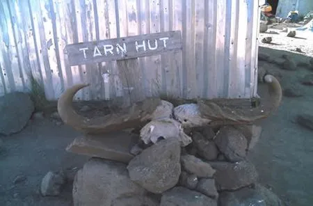 Tarn Hut - eine der
Übernachtungsstationen liegt bereits in
über 4000 Höhenmetern... tansania-kilimandscharo-tarn-hut
