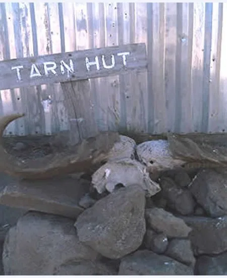 Tarn Hut - eine der
Übernachtungsstationen liegt bereits in
über 4000 Höhenmetern... tansania-kilimandscharo-tarn-hut
