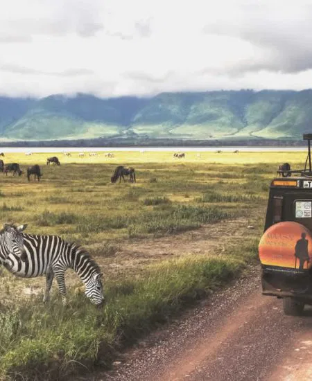 tansania-safari-fahrzeug