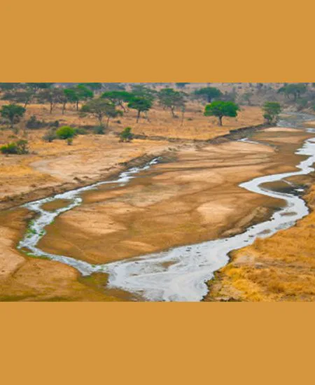 Weniger bekannt, doch nicht weniger
reizvoll erwartet Sie der Tarangire Park.
Von zwei großen Flüssen durchzogen, lockt
er ganzjährig das Wild an seine Ufer. tansania-tarangire-fluss