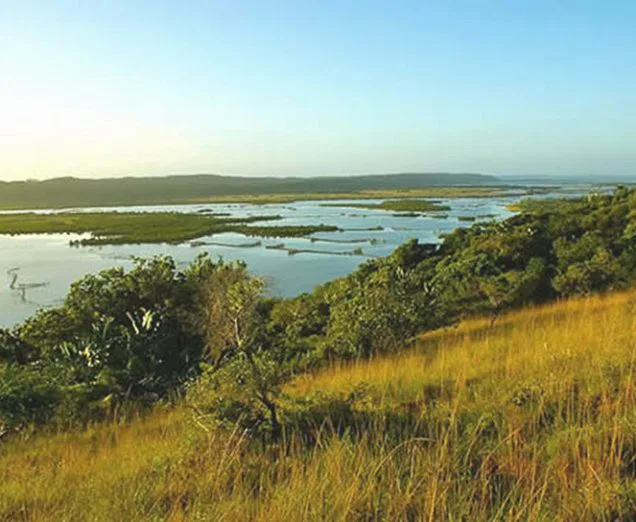 Das Kosi Bay Wildschutzgebiet besticht durch seine schwer zugängliche Lage und einzigartige Natur.