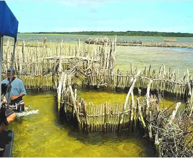 Abgeschieden & ursprünglich lebt die hiesige Bevölkerung überwiegend vom Fischfang.