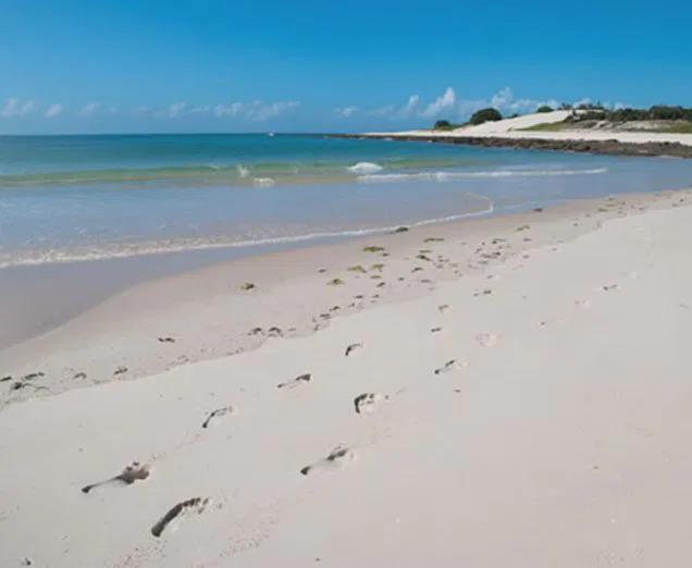 Wer der Unterwasserwelt "widersteht",erfreut sich an einem schier endlosen Strandvergnügen!