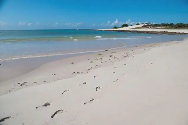 Wer der Unterwasserwelt "widersteht",erfreut sich an einem schier endlosen Strandvergnügen!