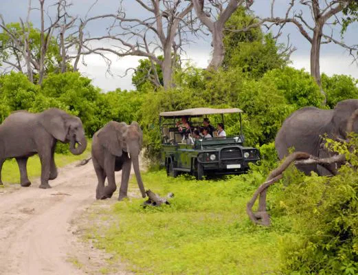 namibia-chobe-pirschfahrt