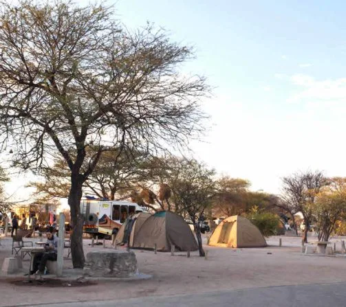 Die im Etosha Park liegenden Restcamps (kleine Unterkunfts-Döfer) bieten auch zahlreiche Stellplätze für Camping-Reisende.