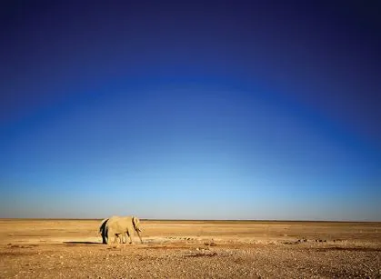 namibia-etosha-elephanten
