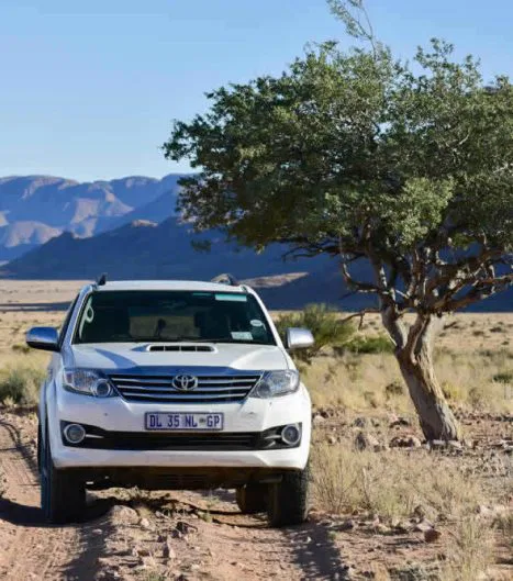 Durchaus übliche Wege auf Farmen oder
Zufahrten zu Lodges im südlichen Namibia.