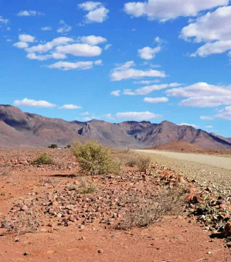 Landschaft im Namib Naukluft Park - ein
Wechselspiel zwischen Fels-, Geröll- &
Steinwüsten.