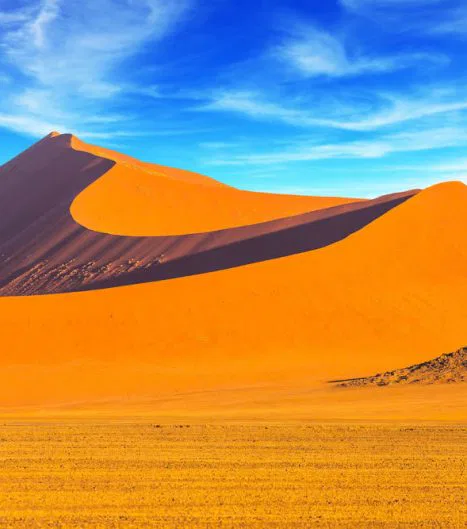 Die Dünen der Namib sind weltberühmt & ihr Anblick ist schier überwältigend!