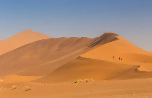 Taucht ein in diese faszinierende
Landschaft, erklimmt eine Düne & wandert über ihren Kamm - Sand... soweit das Auge reicht!