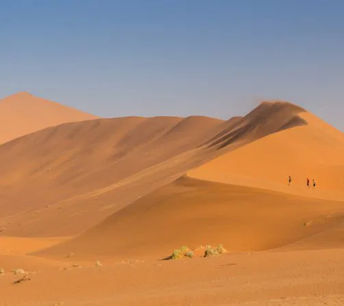 Taucht ein in diese faszinierende
Landschaft, erklimmt eine Düne & wandert über ihren Kamm - Sand... soweit das Auge reicht!