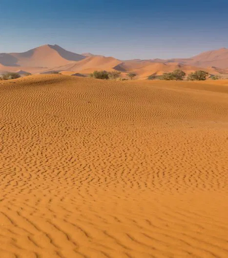 Die Wüste strahlt Ruhe & Magie aus und zieht jeden Besucher unweigerlich in ihren Bann!