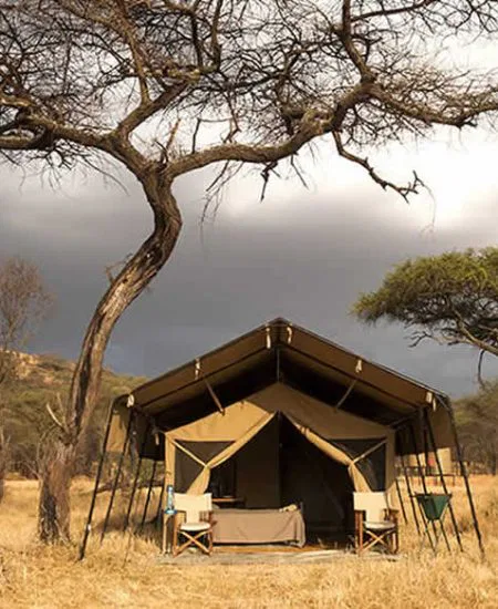serengeti-kati-kati-camp