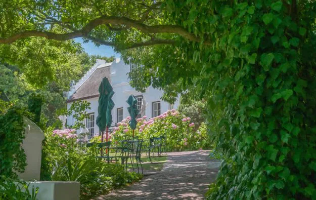 Die Weingebiete des Kaps mit ihren historischen Ortschaften und unzähligen Weingüternladen zum längeren Verweilen ein. Umgeben von schützenden Bergen schmiegen sich wunderschöne alte Herrenhäuser unter große, uralte Bäume.