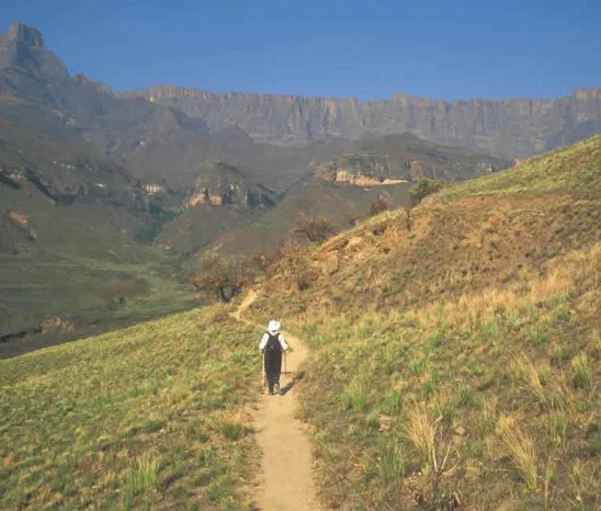 Am schönsten ist es, die Berge ein wenig zu erkunden. Auf "Schusters Rappen" ist das für
jeden Besucher auf endlosen Kilometern von Wanderwegen möglich. suedafrika-drakensberge-wanderung