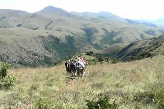 Ihre Wanderungen führen zu den Gipfeln der Drakensberg Amphitheater-Region in ca. 3.000m Höhe! suedafrika-drakensberge-wanderung2