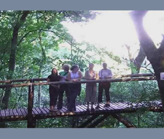 Der kleine Ort Eshowe bietet mehr als es scheint. Auf dem "Aerial Walk schlendern Sie hoch über dem Erdboden durch dichten Wald, umschwirrt von Schmetterlingen & zahlreichen Vogelstimmen.. Die einheimische Vegetation wird anschaulich erklärt. suedafrika-eshowe-arial-walk