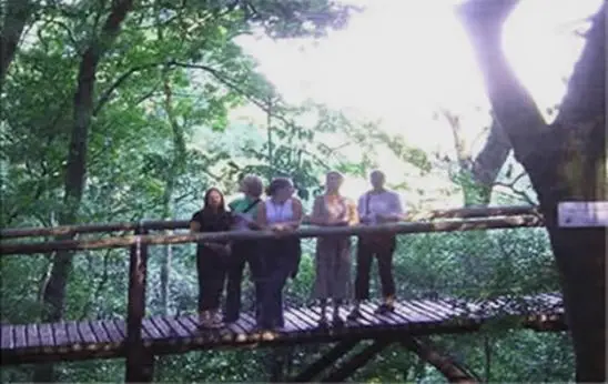 Der kleine Ort Eshowe bietet mehr als es scheint. Auf dem "Aerial Walk schlendern Sie hoch über dem Erdboden durch dichten Wald, umschwirrt von Schmetterlingen & zahlreichen Vogelstimmen.. Die einheimische Vegetation wird anschaulich erklärt. suedafrika-eshowe-arial-walk