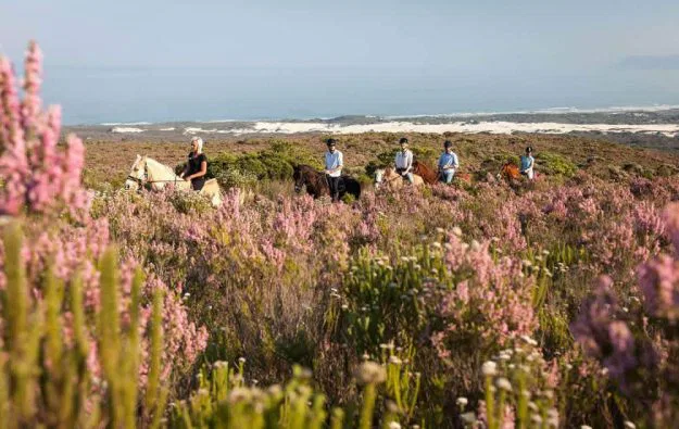Das Aktivitätenprogramm auf Grootbos ist
reichhaltig und Sie brauchen nur zu
wählen: Austritte oder Landrovertouren über die Farm, Wanderungen im Pflanzenschutzgebiet, Touren an den endlosen Strand der Walker Bay...