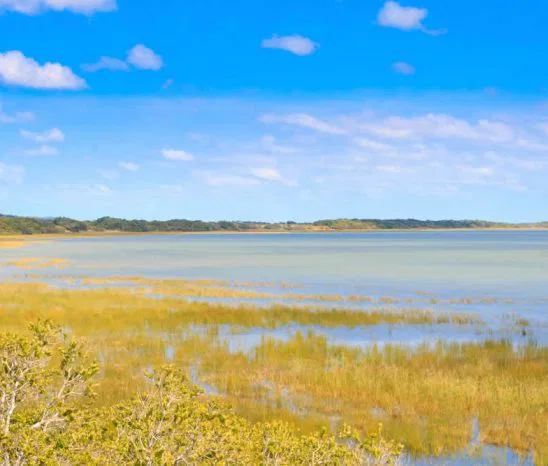Der "iSimangaliso Wetlands Park", ist eine der
Weltnaturerbe Stätten Südafrika's. Er erstreckt sich die Küste hinauf bis nach Mozambique. Einzigartig sind die hiesigen Dünenwälder. suedafrika-isimangaliso-see