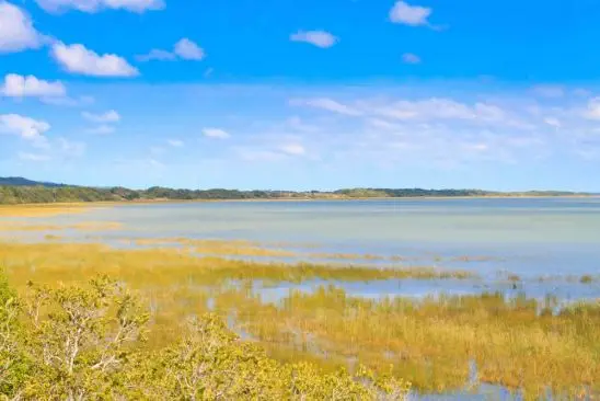 Der "iSimangaliso Wetlands Park", ist eine der
Weltnaturerbe Stätten Südafrika's. Er erstreckt sich die Küste hinauf bis nach Mozambique. Einzigartig sind die hiesigen Dünenwälder. suedafrika-isimangaliso-see