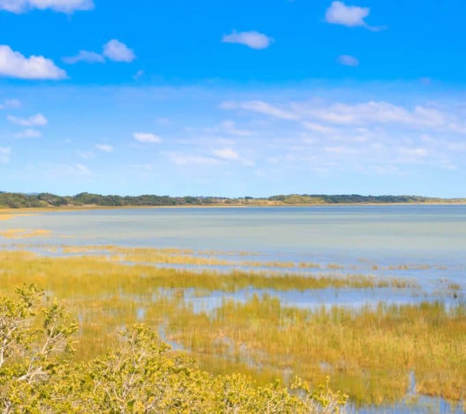 Der "iSimangaliso Wetlands Park" ist eines der
Unesco Weltnatur-Erbe des Landes, den Sie ggf. je nach Jahreszeit & Tierkonzentration besuchen. suedafrika-isimangaliso-see